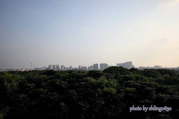 竹北近況20150715-105.JPG 竹北近況20150715-105.JPG