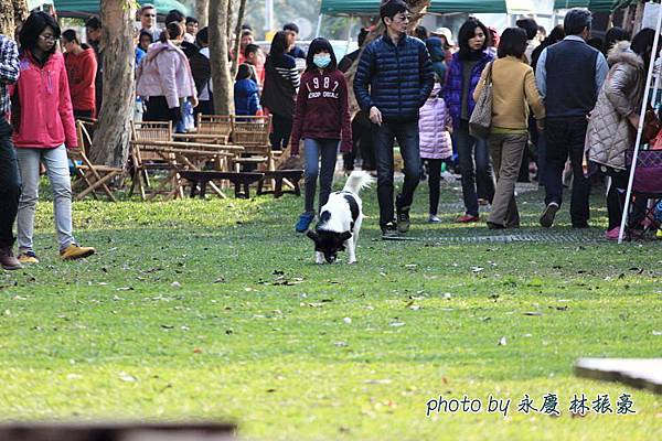 20160328竹北近況-056.JPG