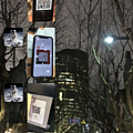 IMG_4509.PNG
