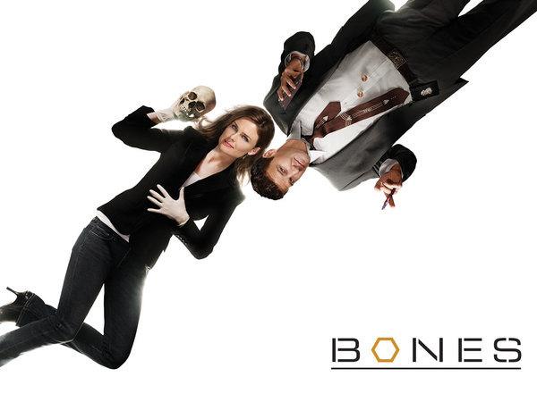 bones_1280x960.jpg