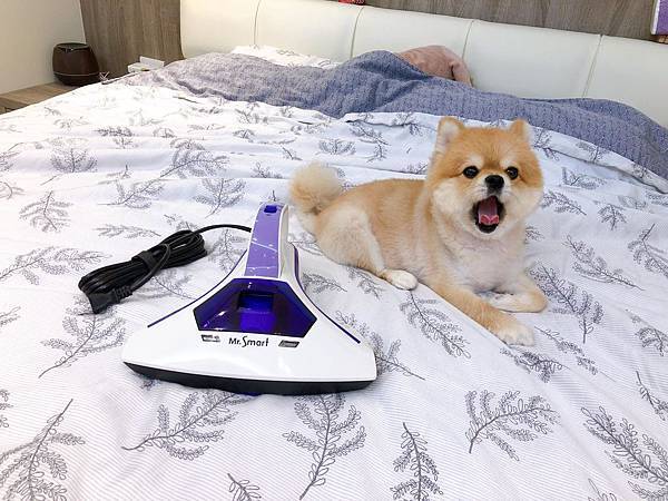 67311359_619674438521249_8709058361812844544_n.jpg 試用