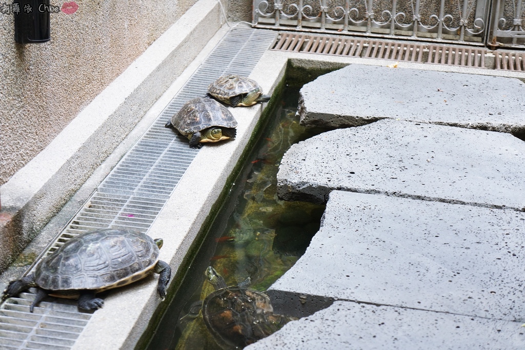 台南素食推薦 赤崁璽樓 餐廳 台南美食推薦14.JPG