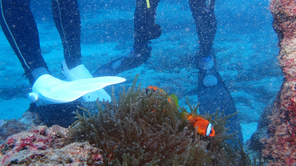 墾丁說走就走GO！二天一夜輕旅行　愛上潛水探索美麗的海洋 交給專業徜徉潛旅訓練中心４９.JPG