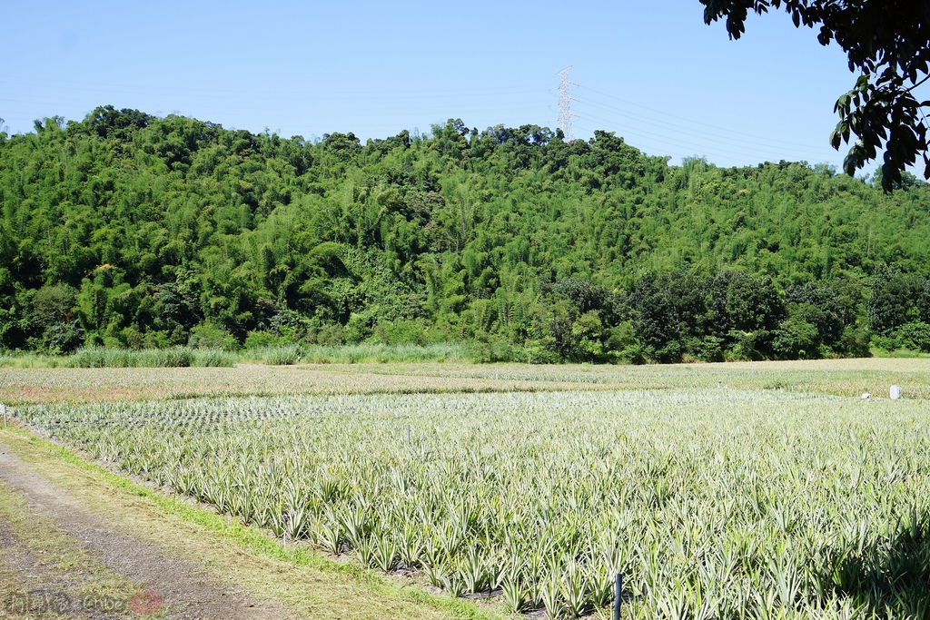 屏東一日遊 185沿山觀光郵輪巴士隨著巴士定點玩透透 親子旅行 山川琉璃吊橋美景➡️隘寮勝利門➡️ 銘泉生態休閒農場Y➡️萬金教堂➡️赤山社區黑搓巧25.JPG