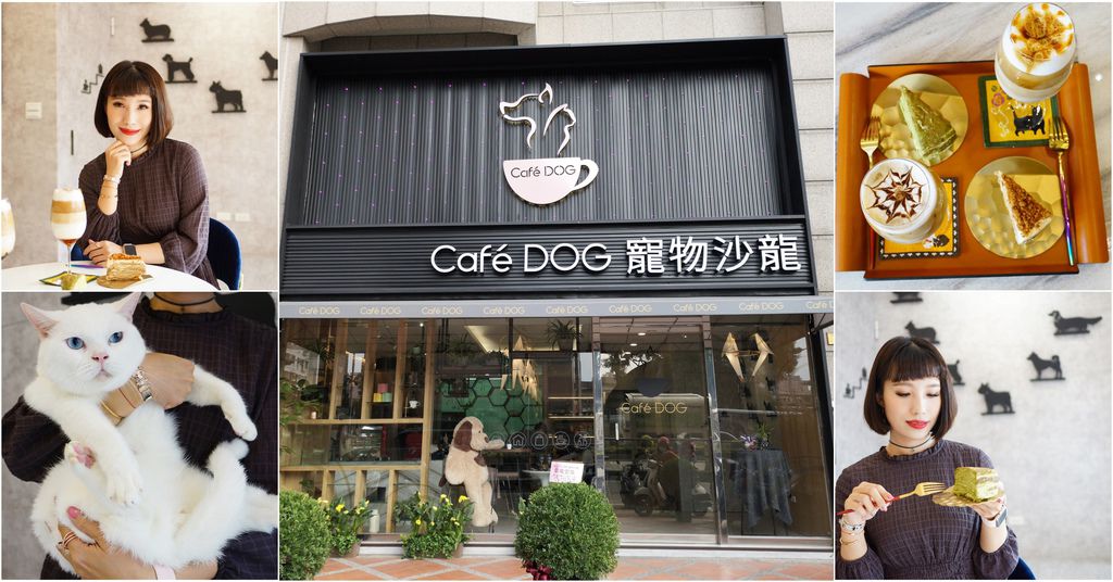 高雄 Cafedog寵物沙龍 寵物美容x網美咖啡廳複合店 優質服務和時尚空間 給毛小孩舒適SPA美容.jpg