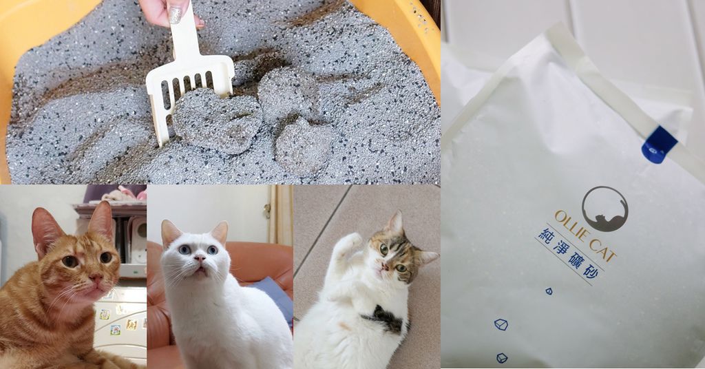 OLLIE CAT 愛貓選物純淨礦砂 回購率高!好清理 除臭力高 高品質礦砂觸感貓孩好喜歡!!.jpg OLLIE CAT 愛貓選物純淨礦砂 回購率高!好清理 除臭力高 高品質礦砂觸感貓孩好喜歡!!.jpg