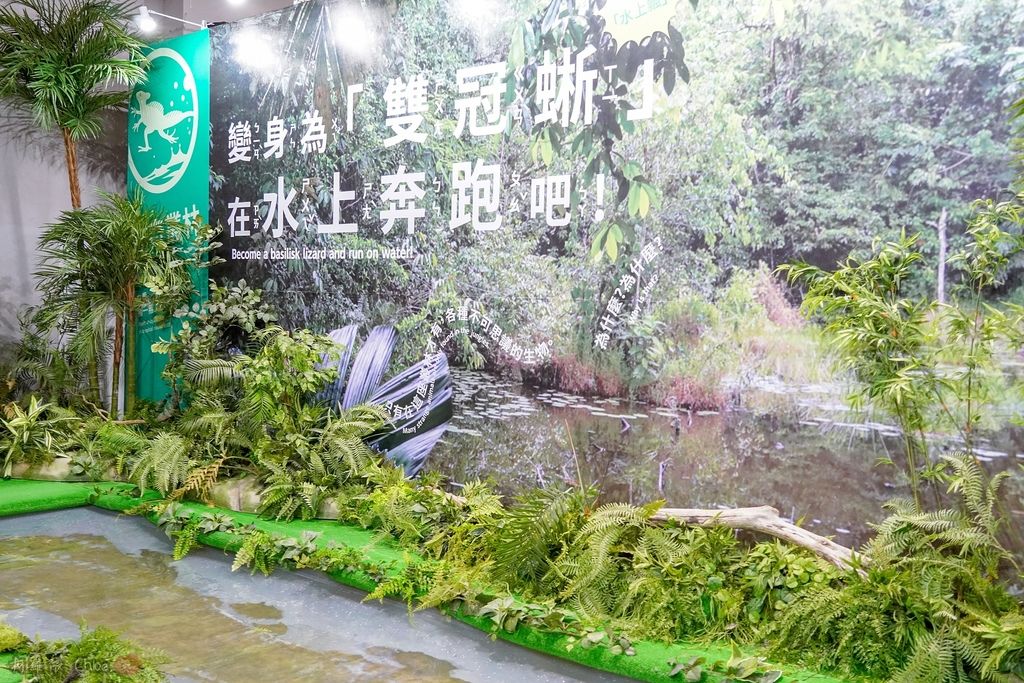 高雄科工館 變變變！MOVE生物體驗展 六大展區 寓教於樂 體驗動物大變身 by柯蘿依Chloe7.jpg