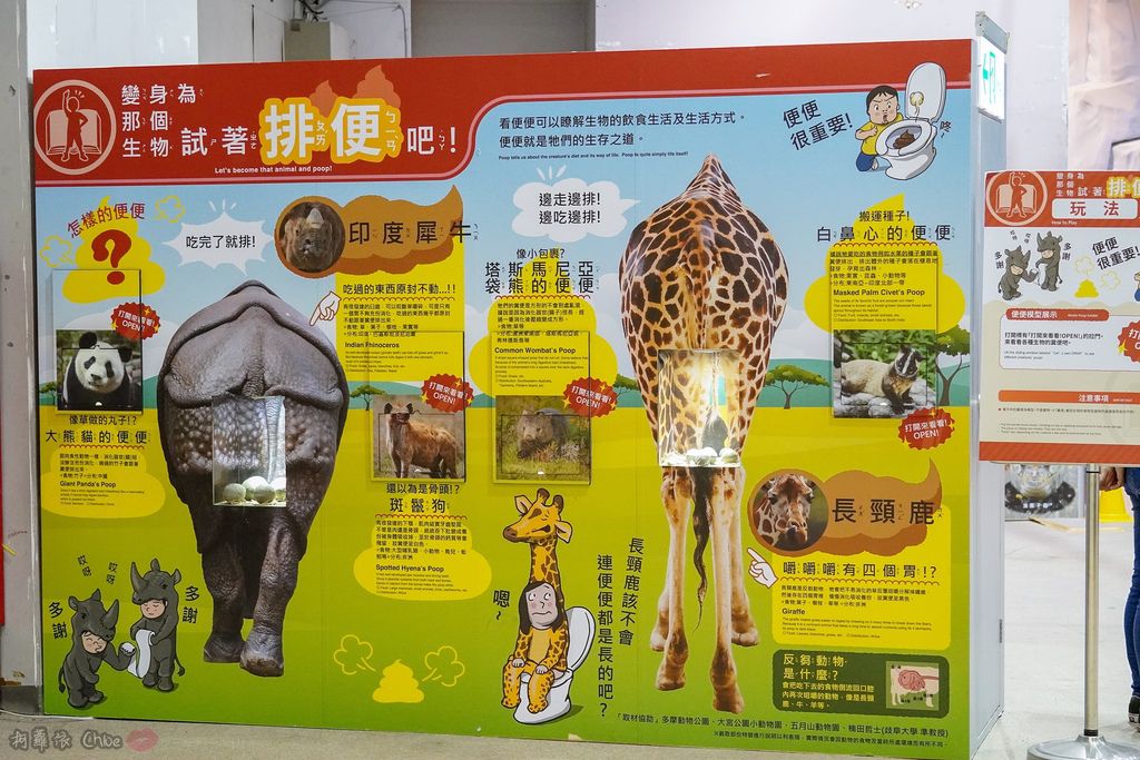 高雄科工館 變變變！MOVE生物體驗展 六大展區 寓教於樂 體驗動物大變身 by柯蘿依Chloe50.jpg