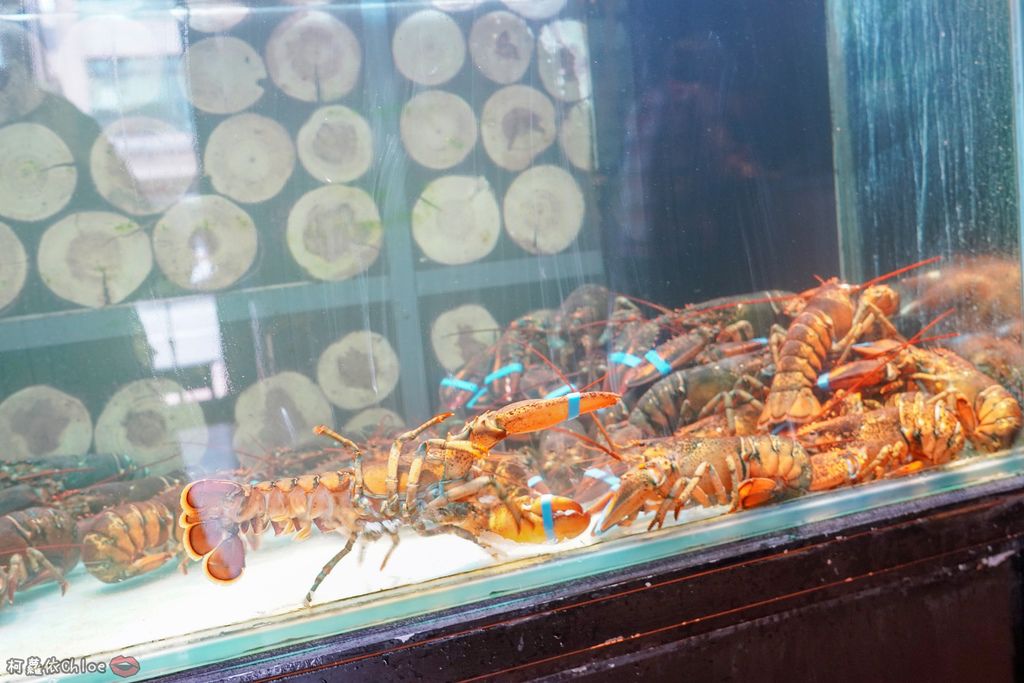 高雄火鍋 家庭聚餐推薦 和牛海鮮火鍋 澎湃浮誇系海鮮、巧克力和牛通通在舞古賀鍋物專門店 近瑞豐夜市3A.jpg