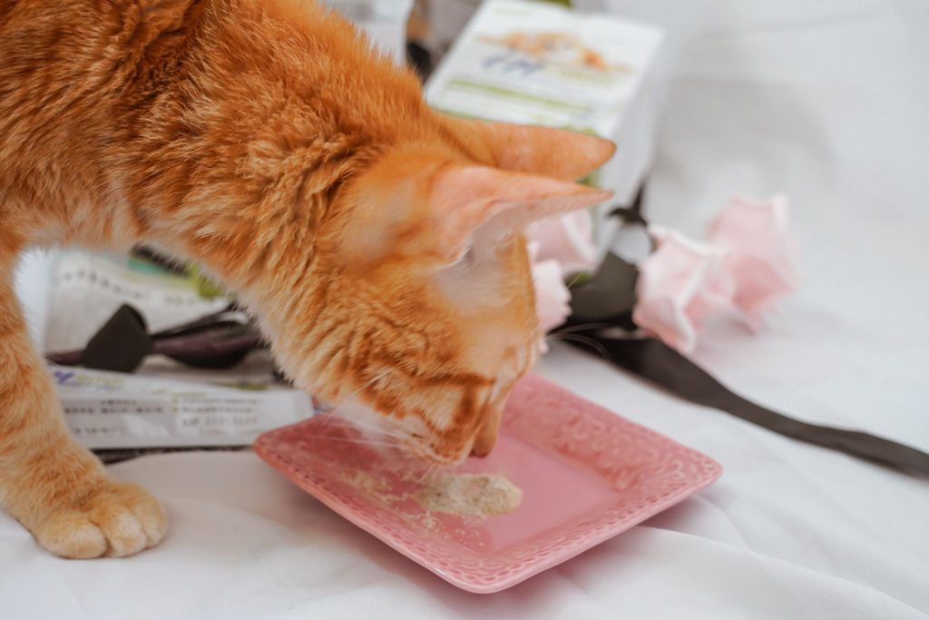 貓咪 InPlus-貓用益生菌+牛磺酸 隨手包設計 營養又美味!讓毛孩們遠離消化不良、腸胃不適困擾11-2.jpg