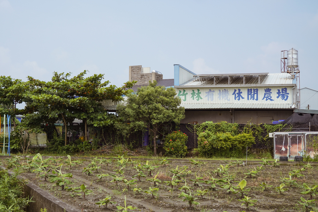 屏東萬丹 竹林有機農場 親子半日遊推薦 親子椿康節農村體驗1.jpg