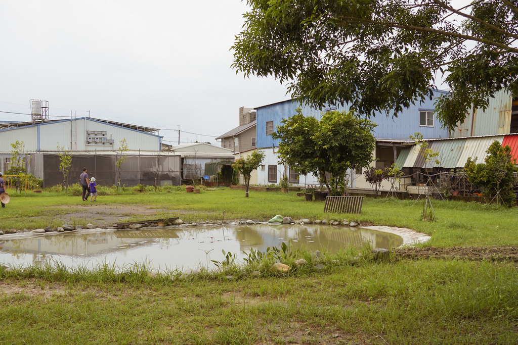 屏東萬丹 竹林有機農場 親子半日遊推薦 親子椿康節農村體驗9.jpg