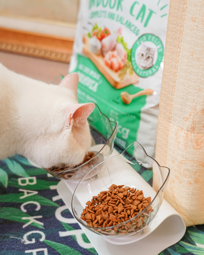 貓飼料推薦 優格寵物食譜 室內貓 雞肉＋米 嗜口性佳 益生菌添加 專為活動量較低的貓咪設計12.jpg