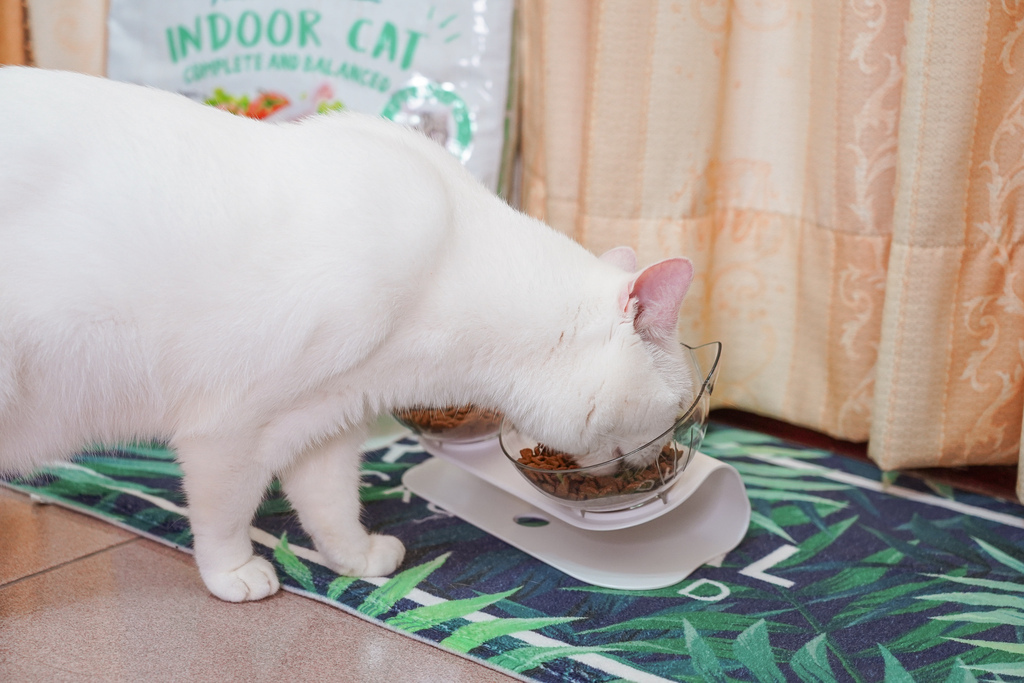 貓飼料推薦 優格寵物食譜 室內貓 雞肉＋米 嗜口性佳 益生菌添加 專為活動量較低的貓咪設計13A (2).jpg