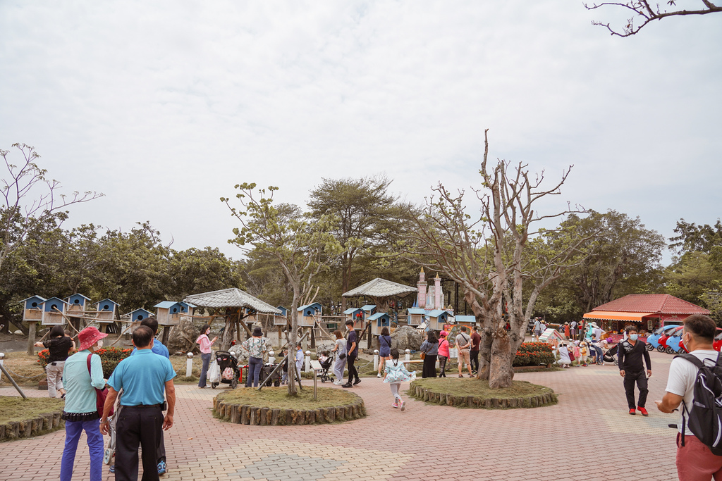 台南景點 頑皮世界 南台灣最大野生動物園 長頸鹿 藪貓 科摩多龍 還可以預約近距離互動南美水豚6.jpg