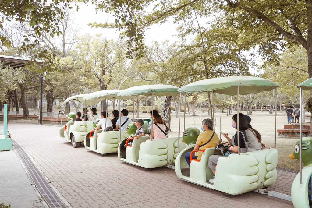 台南景點 頑皮世界 南台灣最大野生動物園 長頸鹿 藪貓 科摩多龍 還可以預約近距離互動南美水豚17.jpg