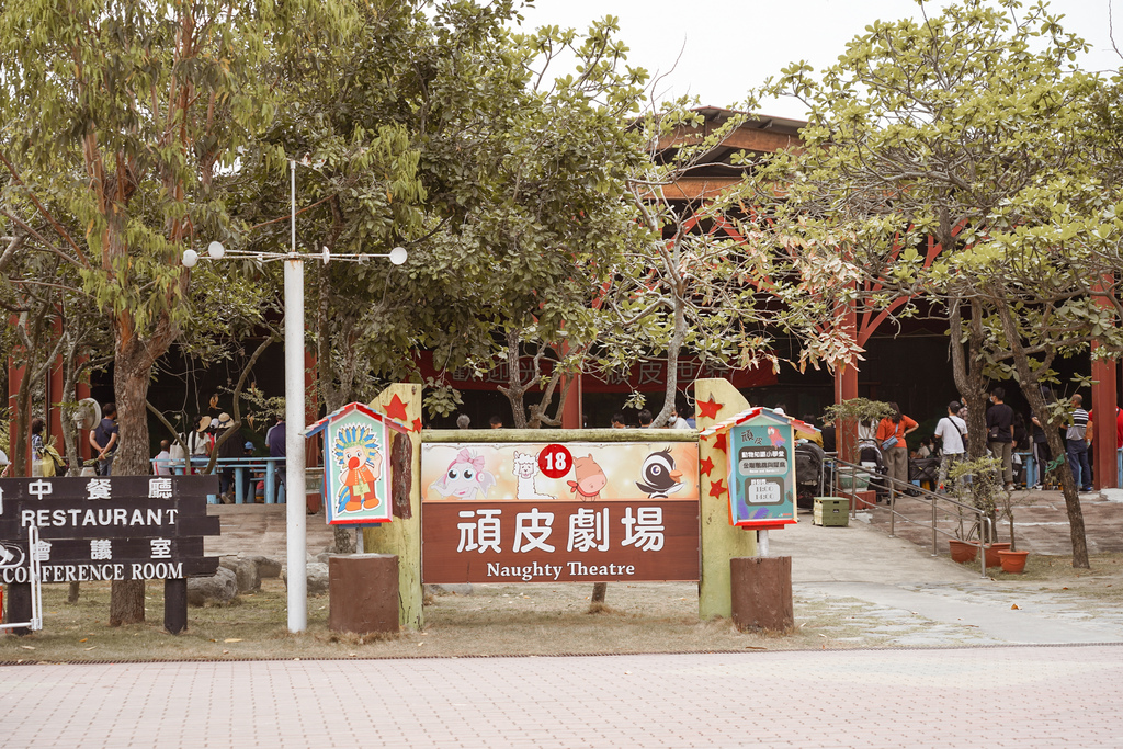 台南景點 頑皮世界 南台灣最大野生動物園 長頸鹿 藪貓 科摩多龍 還可以預約近距離互動南美水豚31.jpg