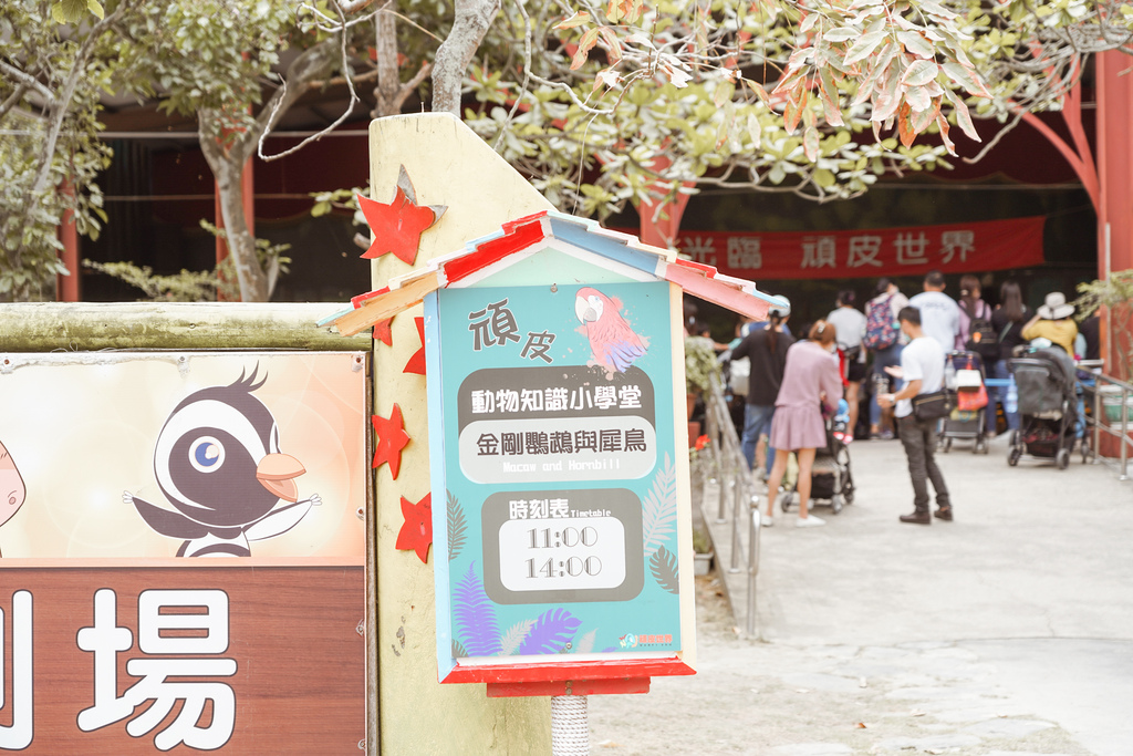 台南景點 頑皮世界 南台灣最大野生動物園 長頸鹿 藪貓 科摩多龍 還可以預約近距離互動南美水豚33.jpg