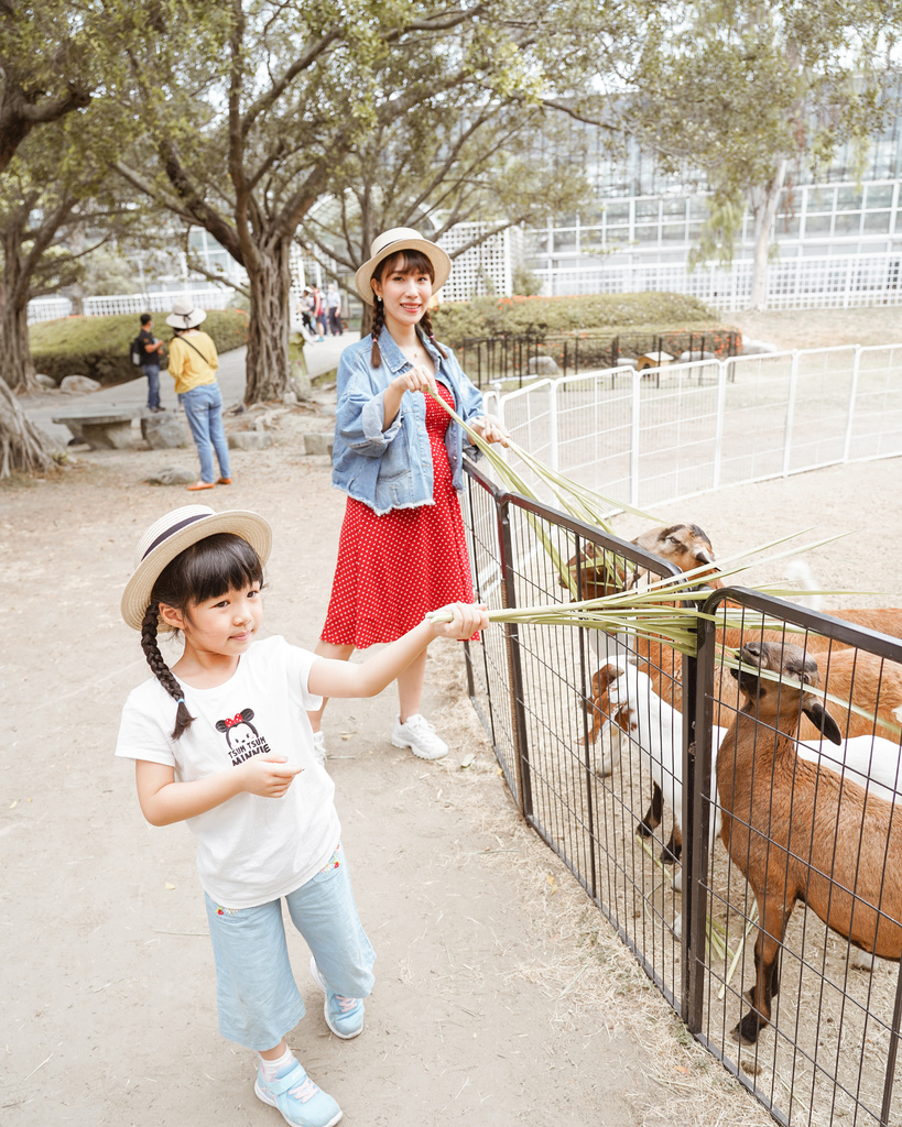 台南景點 頑皮世界 南台灣最大野生動物園 長頸鹿 藪貓 科摩多龍 還可以預約近距離互動南美水豚39.jpg