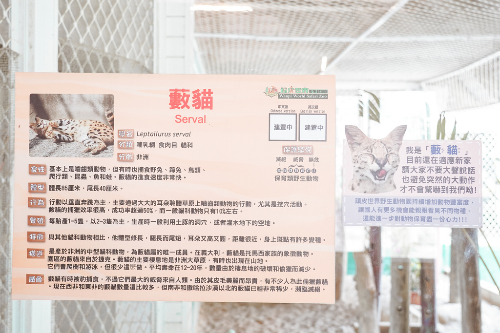 台南景點 頑皮世界 南台灣最大野生動物園 長頸鹿 藪貓 科摩多龍 還可以預約近距離互動南美水豚42.jpg