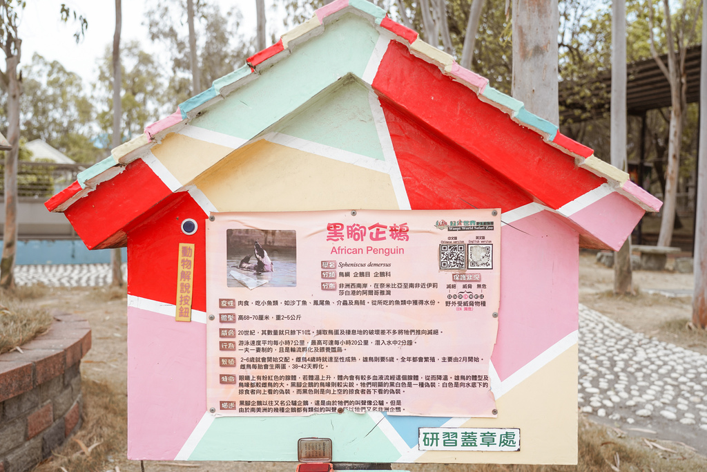 台南景點 頑皮世界 南台灣最大野生動物園 長頸鹿 藪貓 科摩多龍 還可以預約近距離互動南美水豚79.jpg