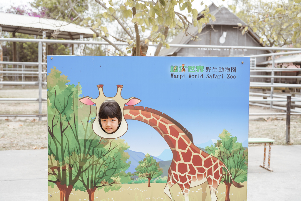 台南景點 頑皮世界 南台灣最大野生動物園 長頸鹿 藪貓 科摩多龍 還可以預約近距離互動南美水豚84.jpg