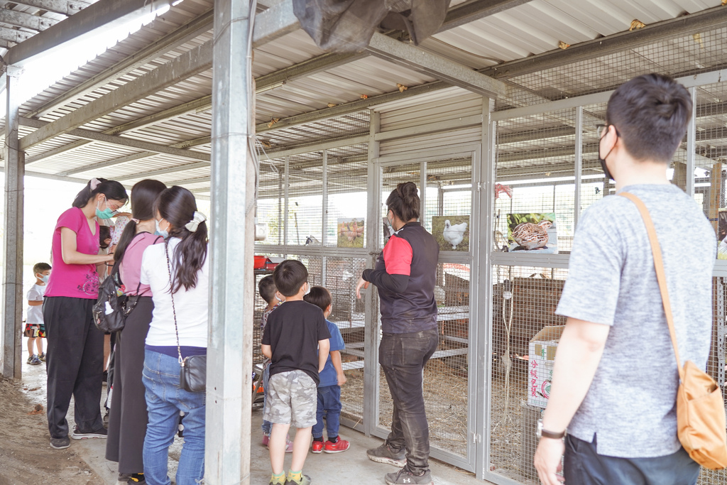 亲子住宿推荐 南科赞美酒店 一泊二食烘窑钓鱼好好玩  亲子旅宿南部住宿推荐 近顽皮世界动物园69.jpg