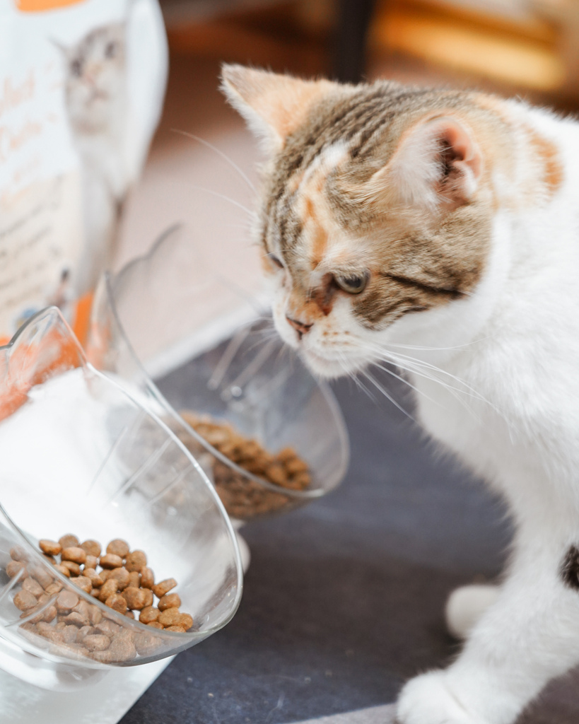 高CP值貓咪飼料推薦 優格寵物食譜 給貓咪高肉量配方 三種肉四種肉好評開箱26.jpg