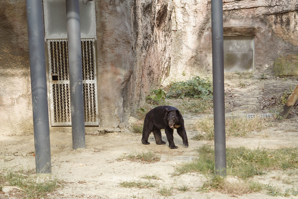 壽山動物園冒險去吧！全新壽山AR尋寶Go 解謎挑戰認識動物多更多３０.jpg