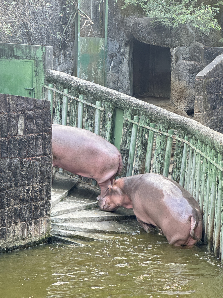 壽山動物園冒險去吧！全新壽山AR尋寶Go 解謎挑戰認識動物多更多３９.jpg