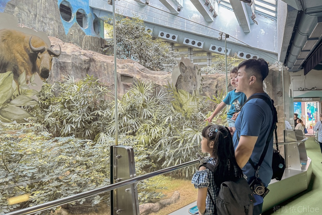 香港海洋公園親子路線攻略2024 小小孩也適合 玩一整天值回票價22.jpg