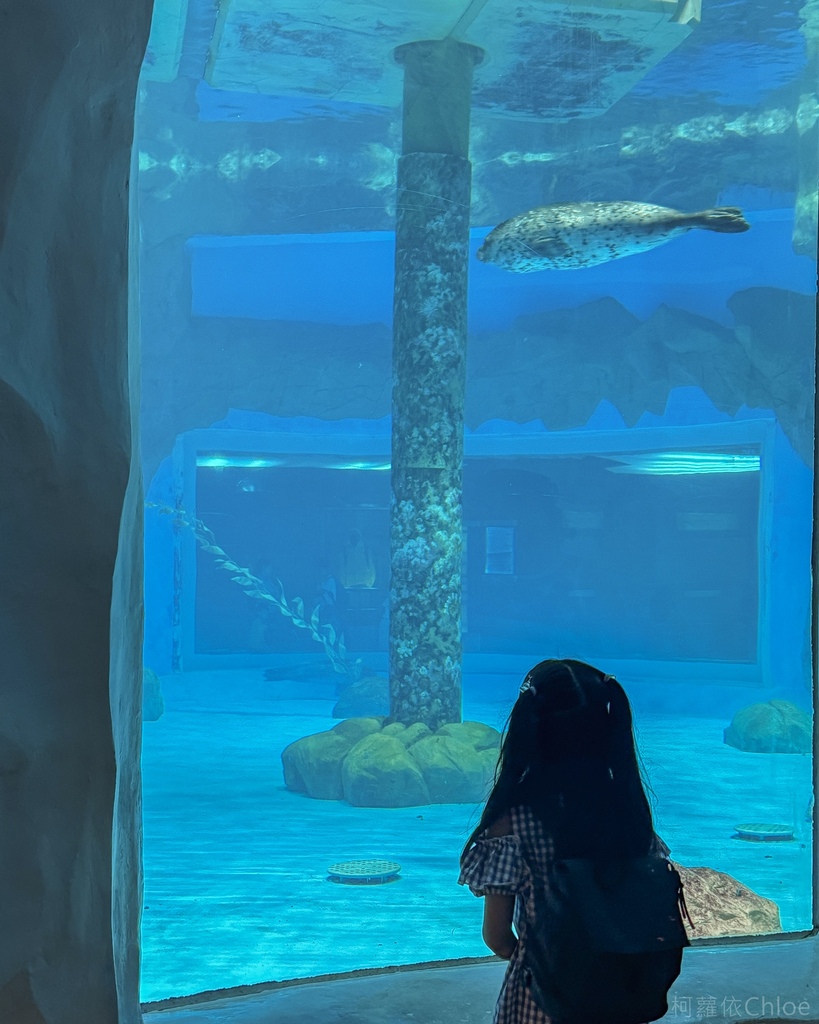 香港海洋公園親子路線攻略2024 小小孩也適合 玩一整天值回票價42.jpg