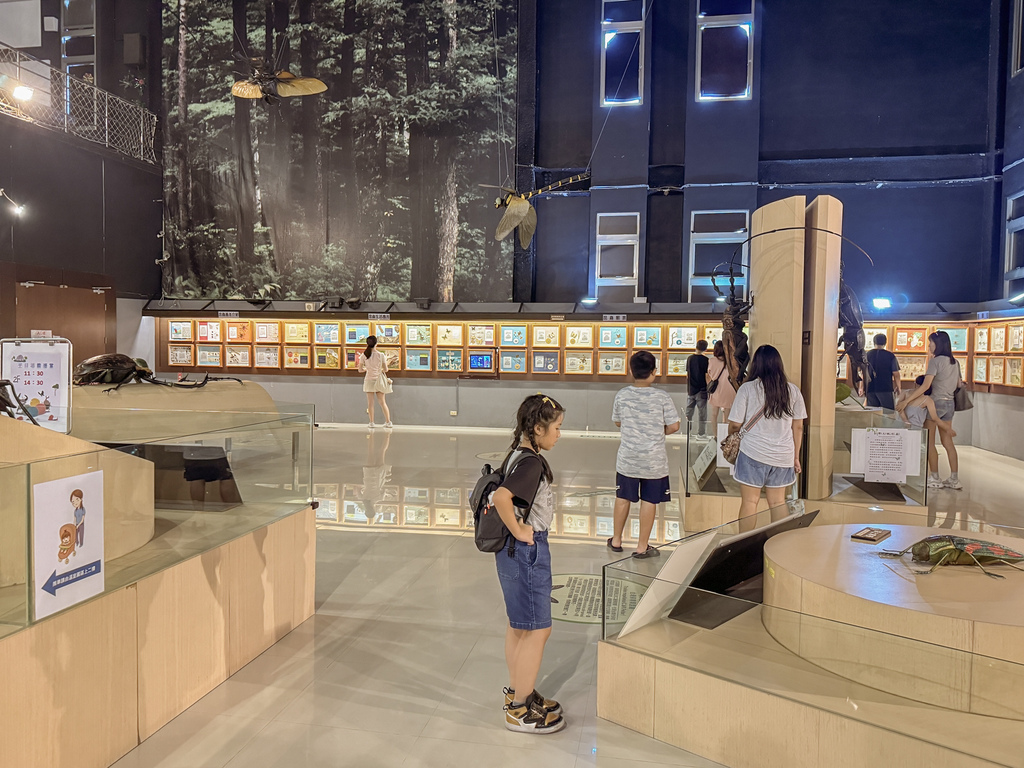 嘉義室內親子景點 嘉大昆蟲館 各式昆蟲標本 溫室蝴蝶園打卡必拍6.jpg