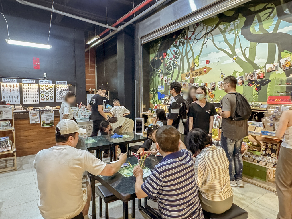 嘉義室內親子景點 嘉大昆蟲館 各式昆蟲標本 溫室蝴蝶園打卡必拍26.jpg