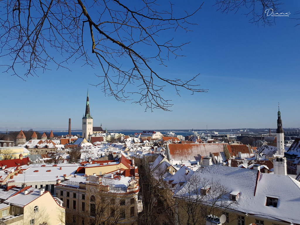20180302_115151.jpg