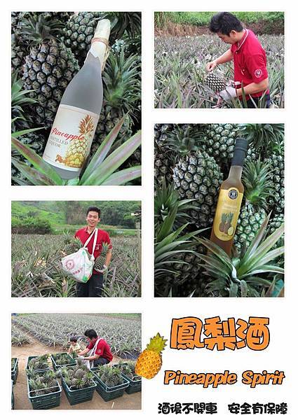 鳳梨酒 Pineapple Spirit