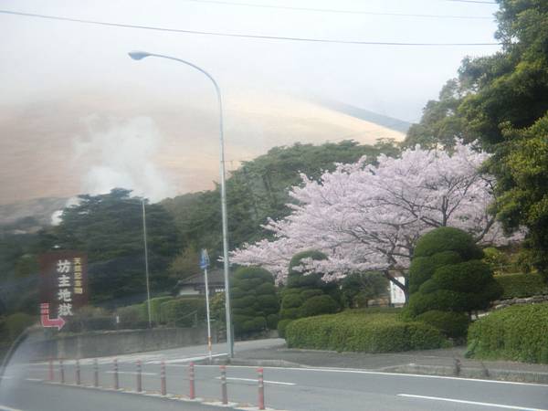 別府煙霧