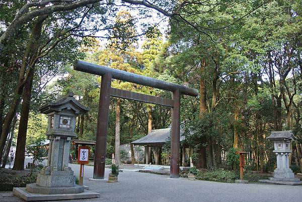 DSC_3558.JPG DSC_3558.JPG