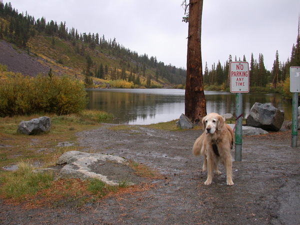 Twin Lake Twin Lake