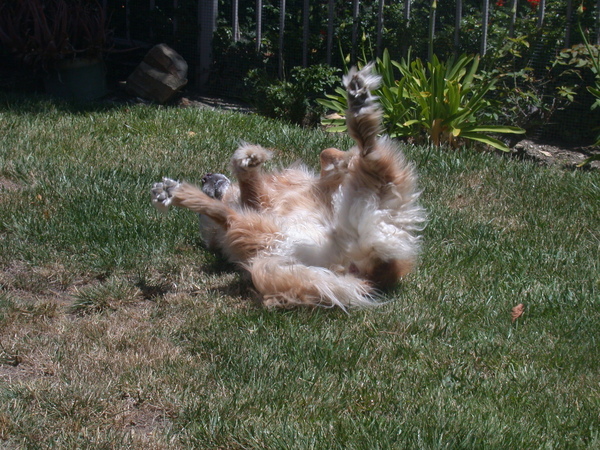 Having too much fun.jpg Having too much fun.jpg