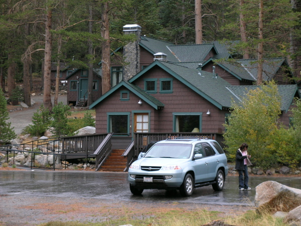 Picture 229.jpg Picture 229.jpg