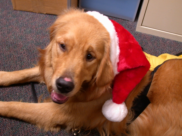 Xmas 12-16-08-5.jpg Xmas 12-16-08-5.jpg