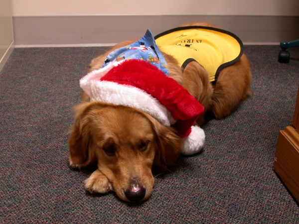 Xmas 12-16-08-3.jpg Xmas 12-16-08-3.jpg