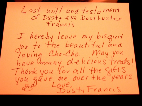 Dusty 003.jpg Dusty 003.jpg