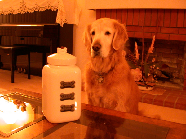 Cho Dusty Cookie Jar Cho Dusty Cookie Jar