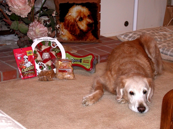 08Xmas 0002.jpg 08Xmas 0002.jpg