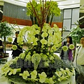 (一)華文森林酒店大廳盆花