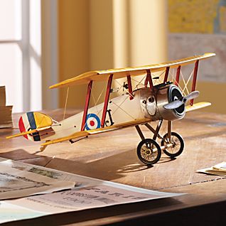 camel model plane.jpg