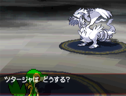 BW_Prerelease_Reshiram_battle.png