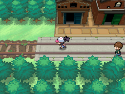 BW_Prerelease_Train_tracks.png